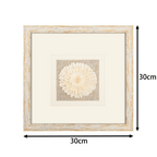 Produktabmessungen: 30x30 cm quadratisches Wandbild Sola-Blume