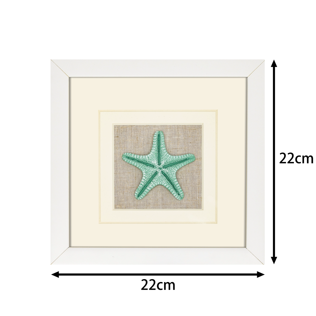 Abmessungen 22x22cm quadratisches Seestern Wandbild grün mit Passepartout - Jemento